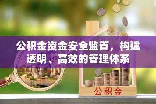 巴音郭楞蒙古公积金资金安全监管，构建透明、高效的管理体系