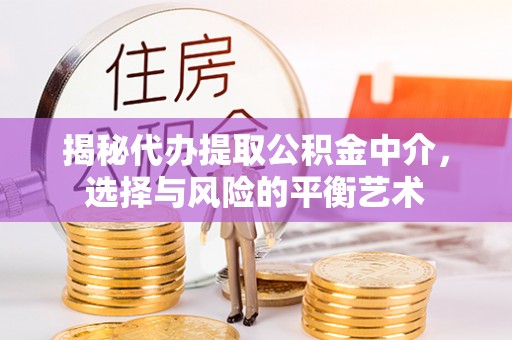 巴音郭楞蒙古揭秘代办提取公积金中介，选择与风险的平衡艺术