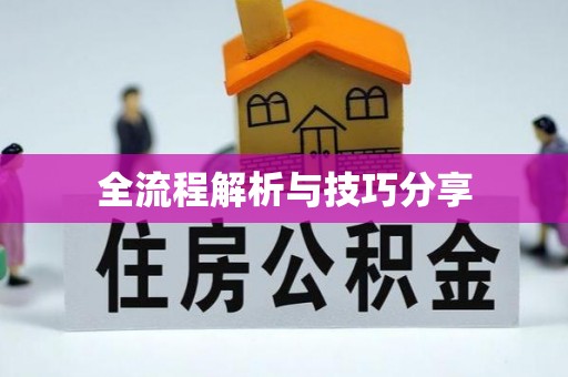 巴音郭楞蒙古全流程解析与技巧分享